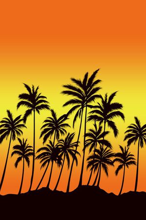 Fei-男装印花华亿平台图片