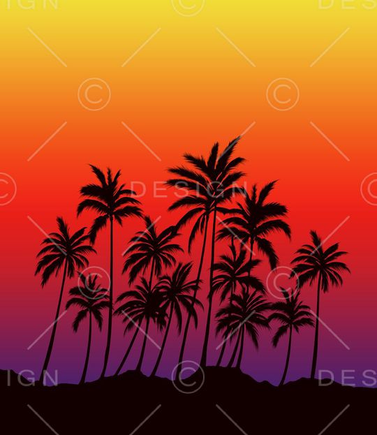 Fei-男装印花华亿平台图片