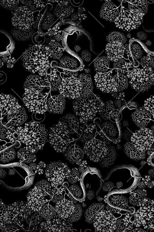 休闲印花华亿平台图片