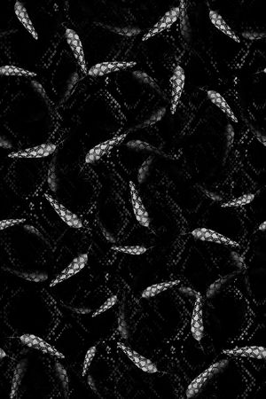 蛇皮纹印花华亿平台图片