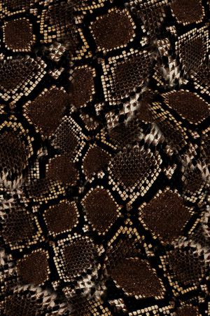 动物纹印花华亿平台图片