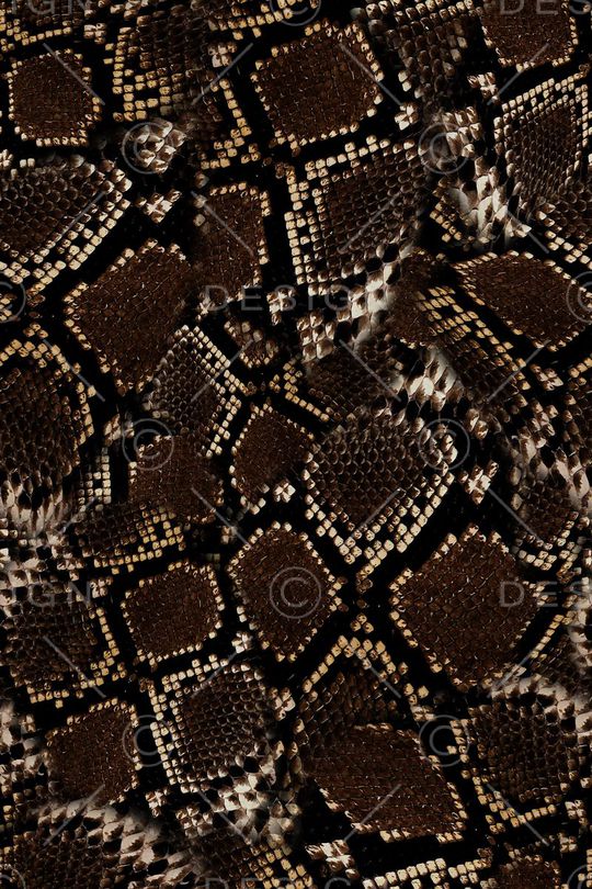 动物纹印花华亿平台图片