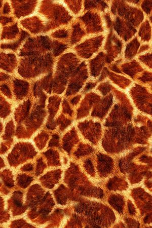 动物纹印花华亿平台图片