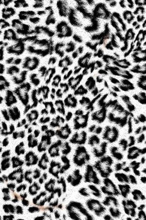 豹纹印花华亿平台图片