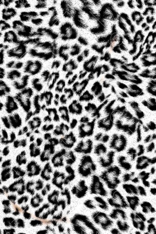 豹纹印花华亿平台图片