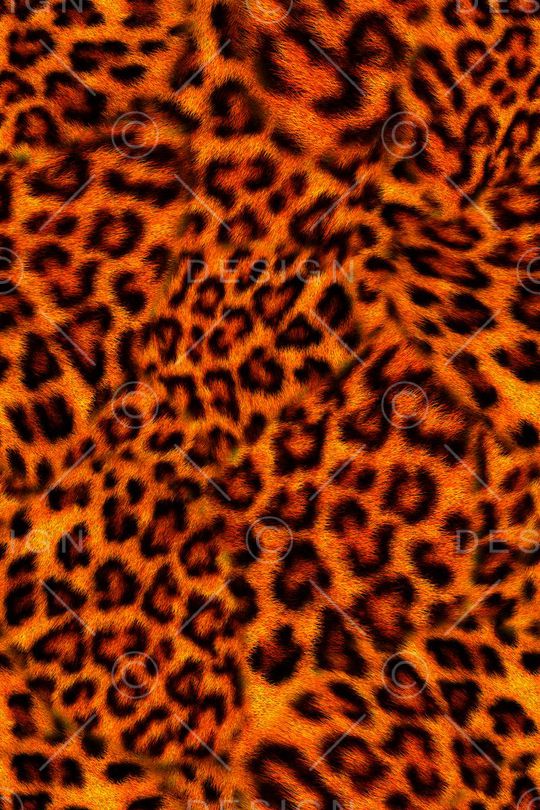 豹纹印花华亿平台图片