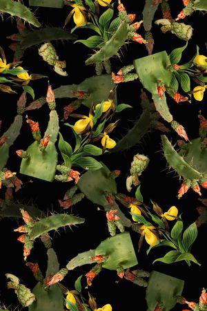 热带印花华亿平台图片