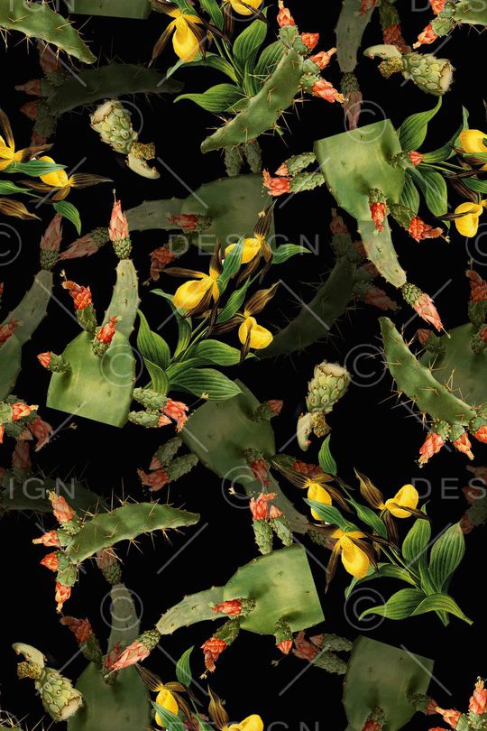 热带印花华亿平台图片