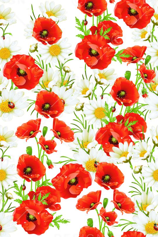 时尚女装印花华亿平台图片