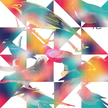 图腾印花华亿平台图片