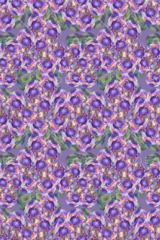 梦幻花卉印花华亿平台图片