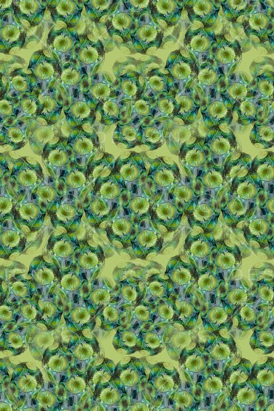 梦幻花卉印花华亿平台图片