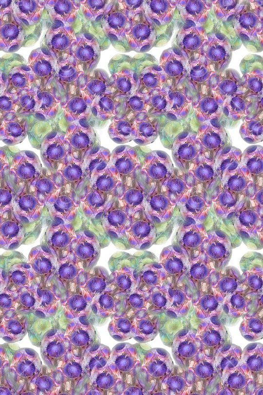 梦幻花卉印花华亿平台图片