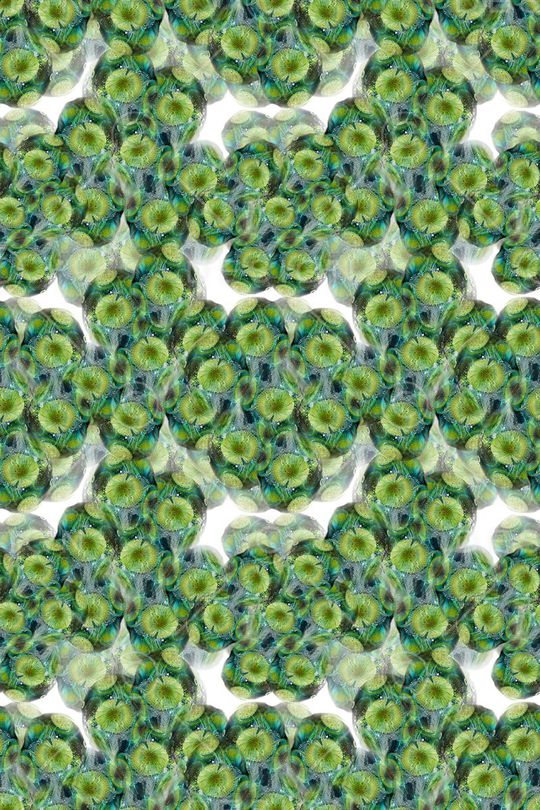 梦幻花卉印花华亿平台图片