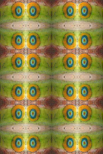 663092-10231ztkf-22940 夏