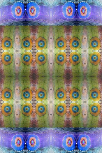 663093-10231ztkf-22940 夏