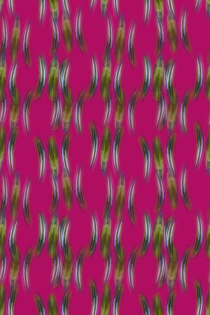 羽毛状印花华亿平台图片