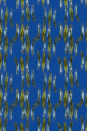 羽毛状印花华亿平台图片