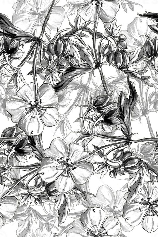 黑白印花华亿平台图片