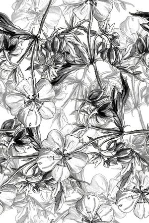 黑白印花华亿平台图片