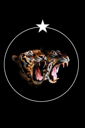 2只老虎印花华亿平台图片