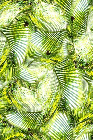 棕榈叶印花华亿平台图片