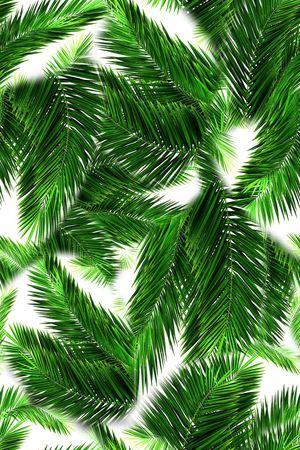 棕榈叶印花华亿平台图片