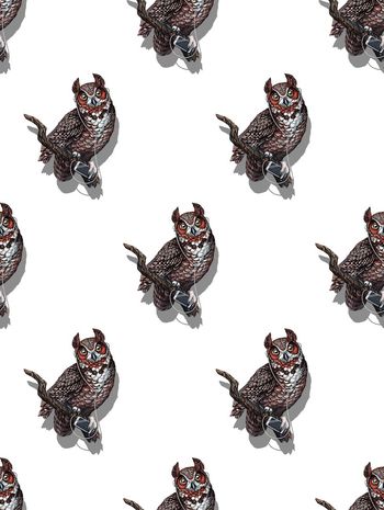 663334-手绘猫头鹰1