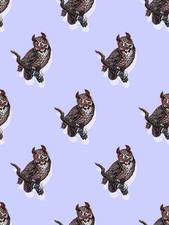 663336-手绘猫头鹰3