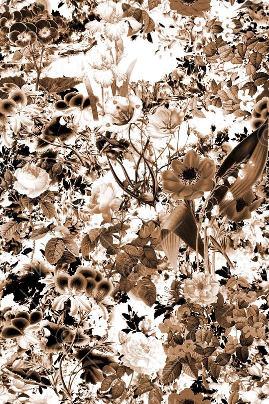 连衣裙印花华亿平台图片