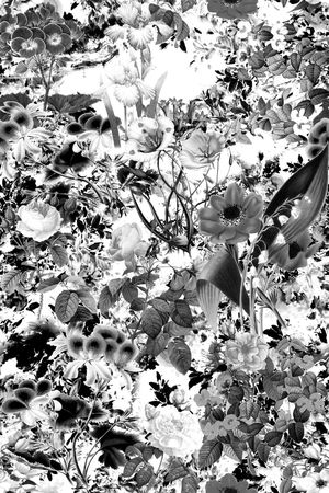 连衣裙印花华亿平台图片