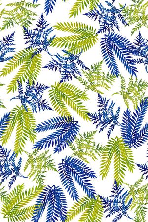 热带印花华亿平台图片