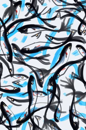 鱼印花华亿平台图片