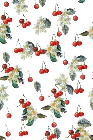 水果印花华亿平台图片