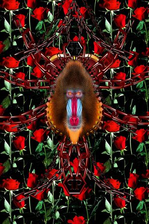 philippplein菲利普普印花华亿平台图片