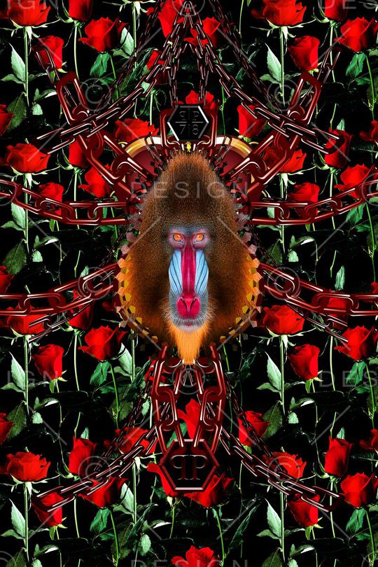 philippplein菲利普普印花华亿平台图片