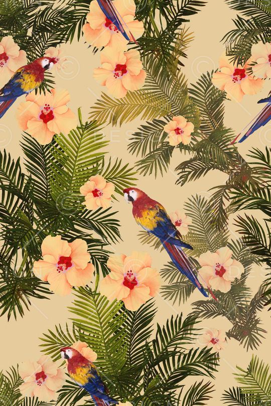 棕榈叶印花华亿平台图片