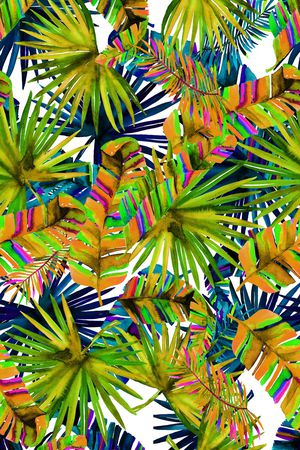 泳装印花华亿平台图片