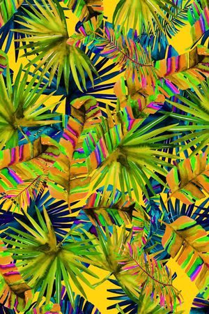 泳装印花华亿平台图片