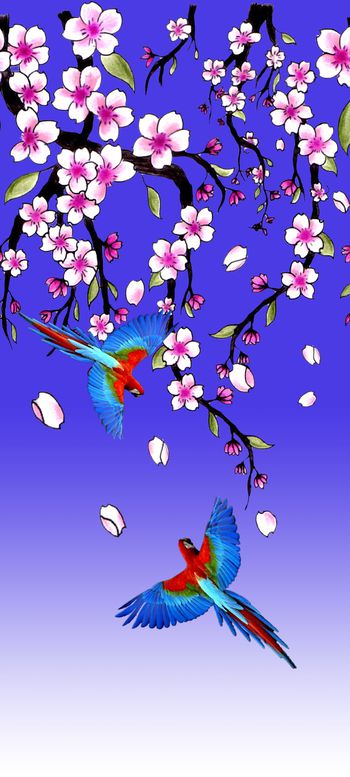 663572-2016-7-4水彩花鸟1