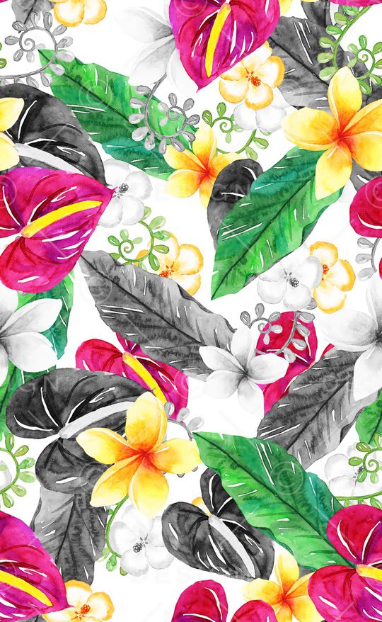 泳装印花华亿平台图片