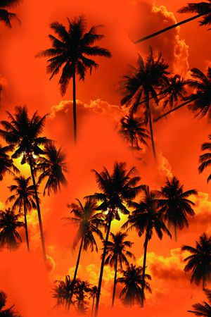 时尚男装印花华亿平台图片