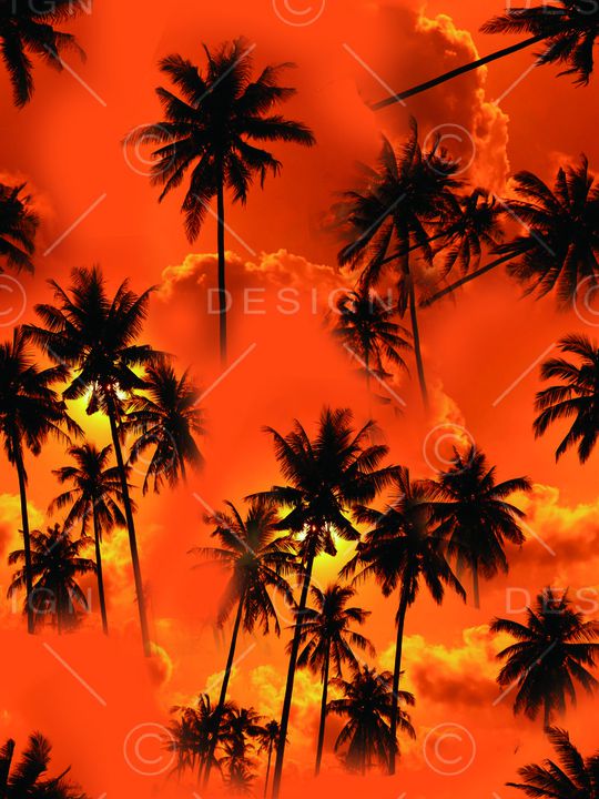 时尚男装印花华亿平台图片