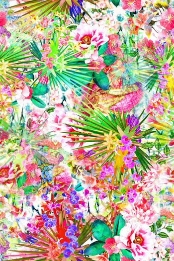 663627-植物花卉 热带植物花朵--2