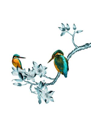 昆虫印花华亿平台图片