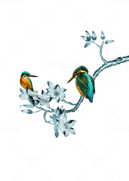 昆虫印花华亿平台图片