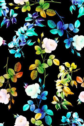 663853-彩花玫瑰花朵07829b