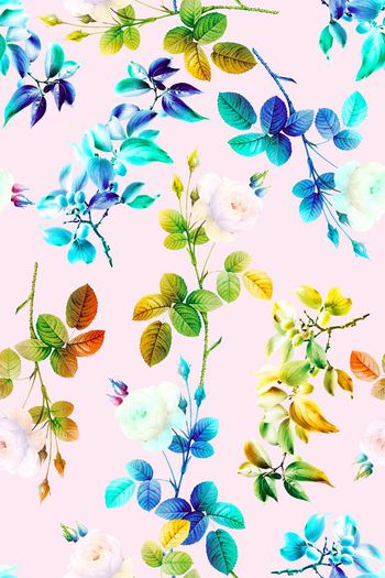 663855-彩花玫瑰花朵07829d