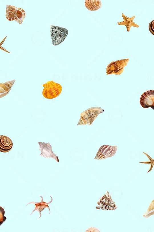 海螺、海洋生物印花华亿平台图片