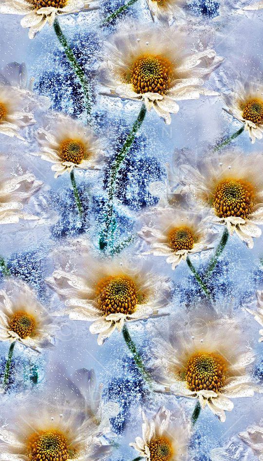 朦胧花卉印花华亿平台图片